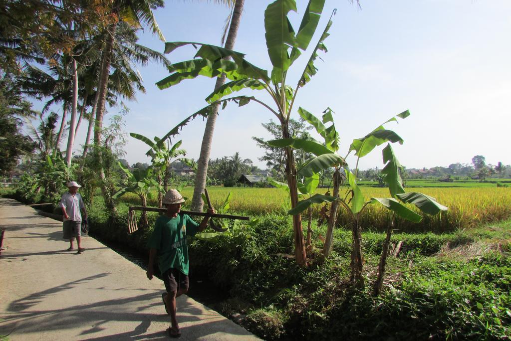 Temuku Villas Ubud Стая снимка