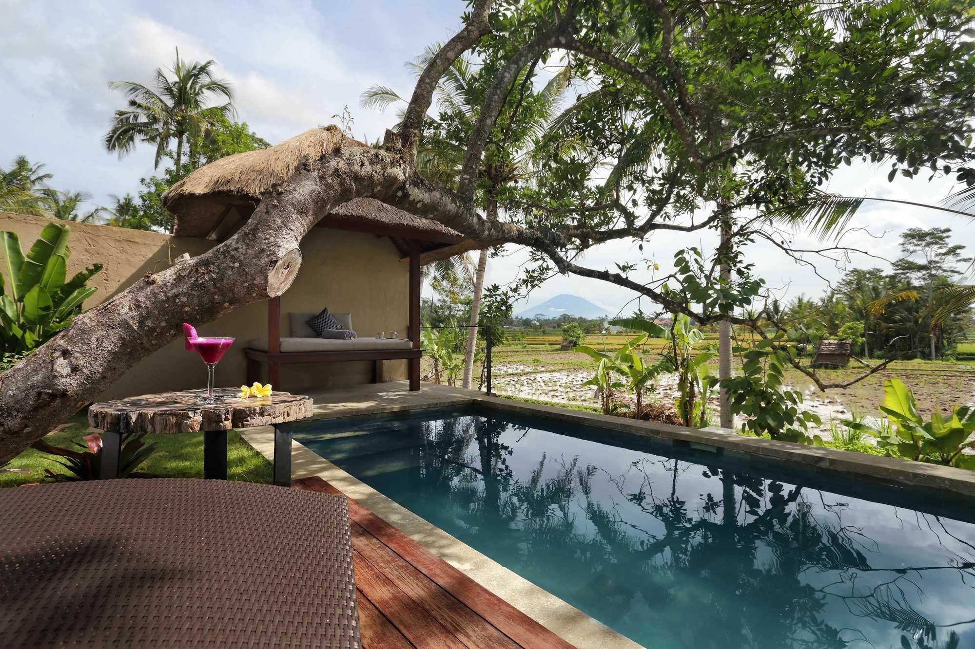 Temuku Villas Ubud Екстериор снимка